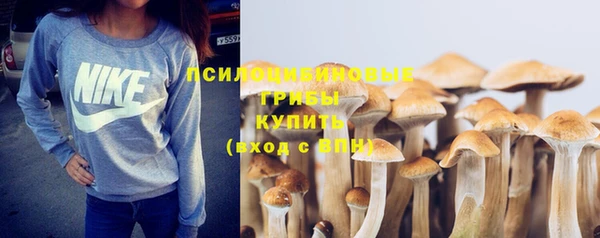 гашик Покачи