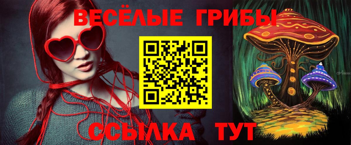 Псилоцибиновые грибы мицелий  Абинск 