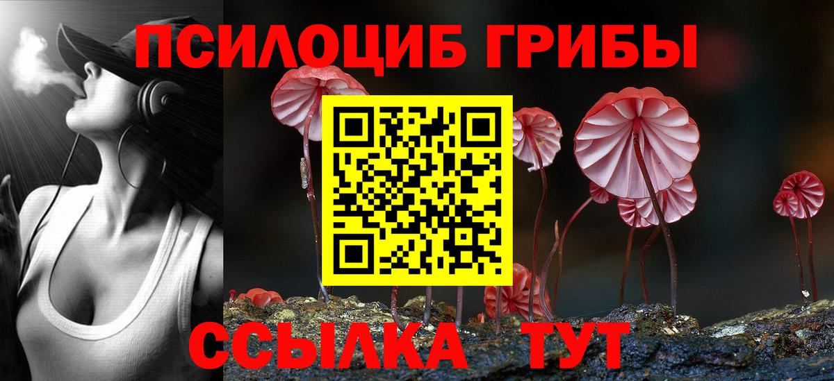 Псилоцибиновые грибы Psilocybine cubensis  Вход с VPN  продажа наркотиков  Абинск 