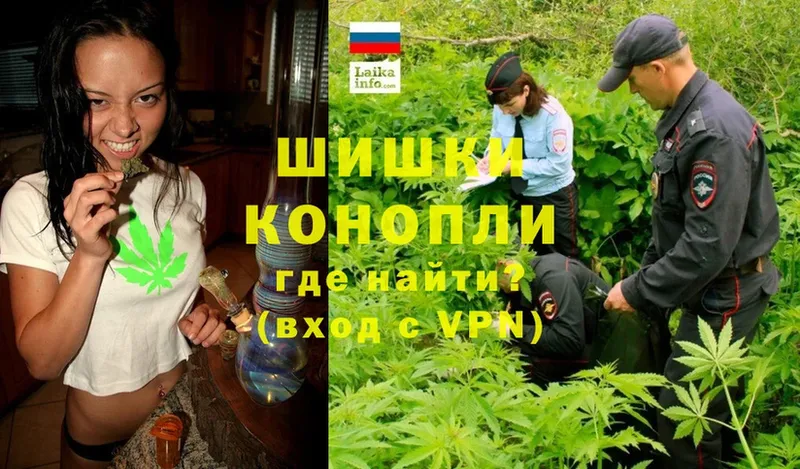 Марихуана план  Абинск 